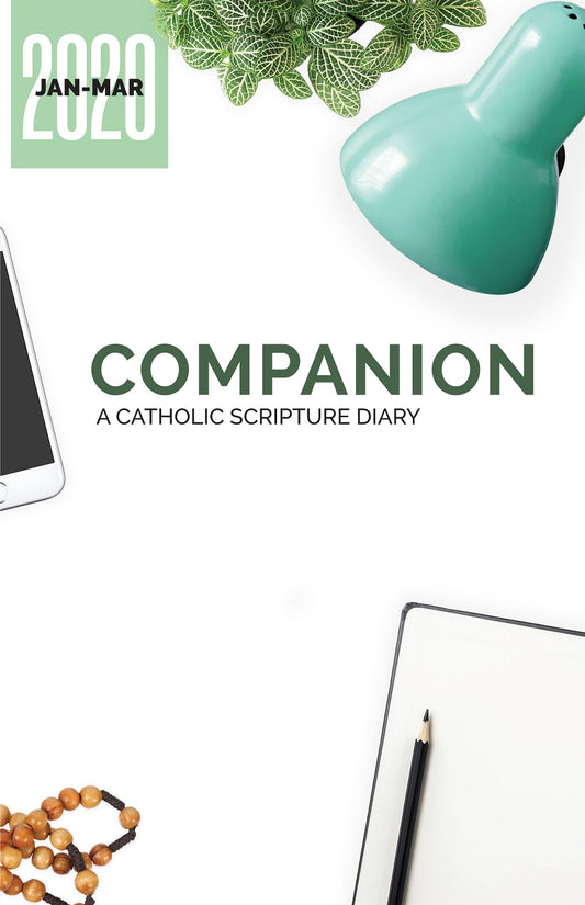 COMPANION 2020 SET Daily Readings Devotional by Feast Books Paperback 4 books