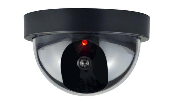 Mock Dome Surveillance Fake Camera Looks Just Like A Real Camera Battery Operated